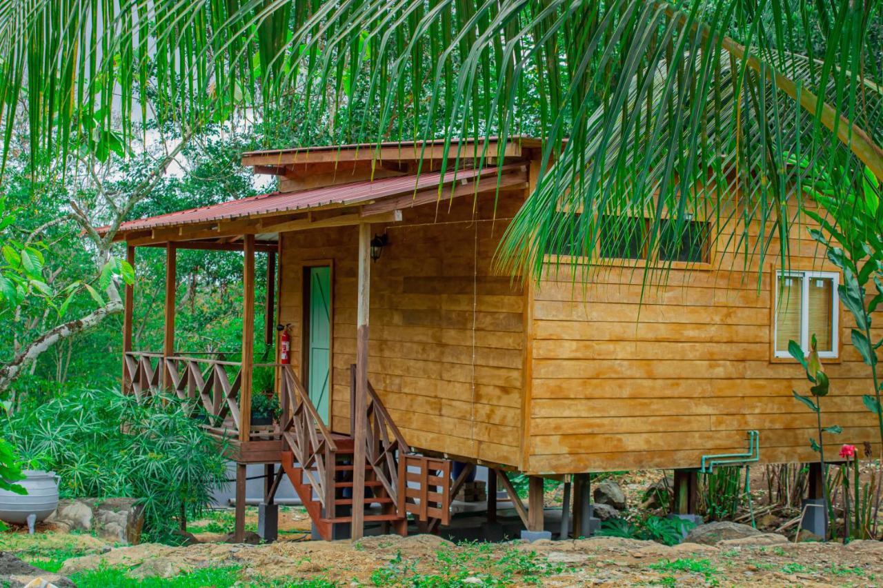 Eden Valley Ecolodge&Farming Madalena Exterior foto